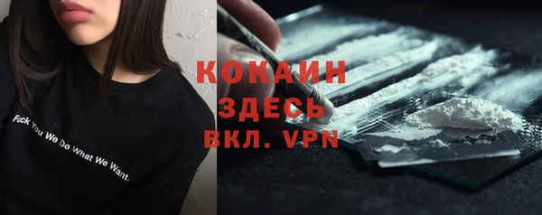 первитин Каменка
