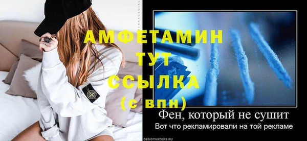 ALPHA PVP Инсар